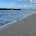 Sammaritani