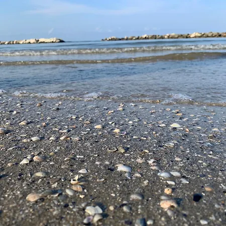 Sammaritani Hotel Rimini