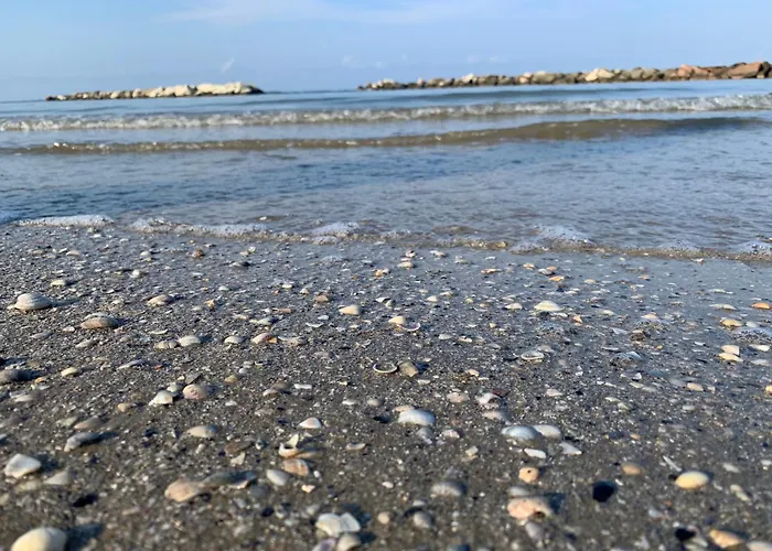 Sammaritani Otel Rimini